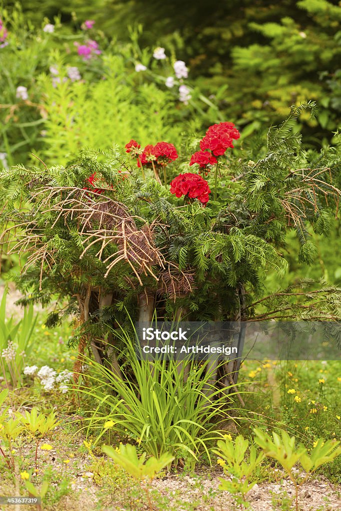 Прекрасный сад - Стоковые фото Без людей роялти-фри