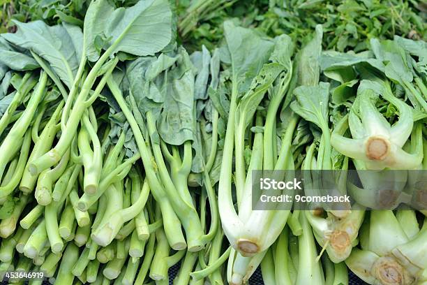 Brassica Foto de stock y más banco de imágenes de Agricultura - Agricultura, Alimento, Asistencia sanitaria y medicina