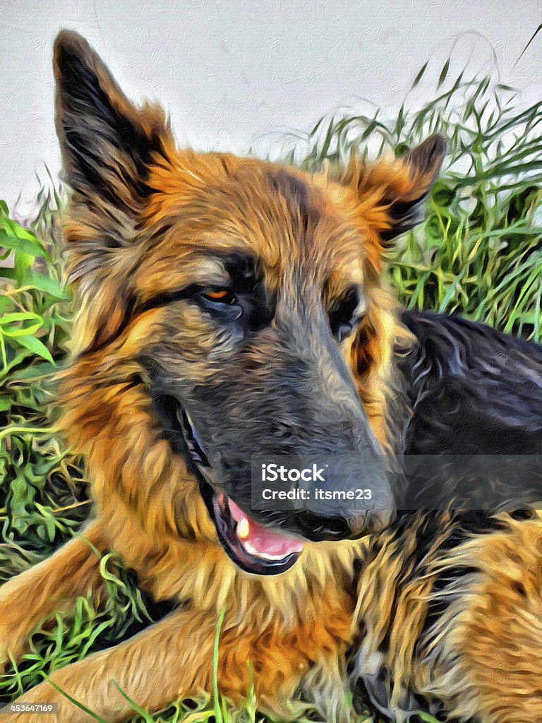 cane lupo - Foto stock royalty-free di Ambientazione esterna