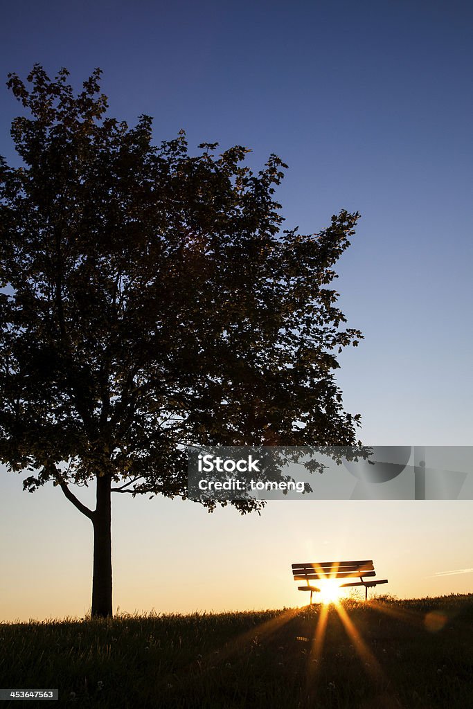 Árbol y de banco - Foto de stock de Aire libre libre de derechos