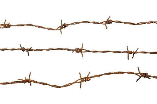 barbed wire, rusty barbed wire detention center isolated on white background