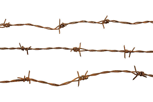 Rusty barb wire isolated on a white background Rusty barb wire isolated on white background barbed wire photos stock pictures, royalty-free photos & images