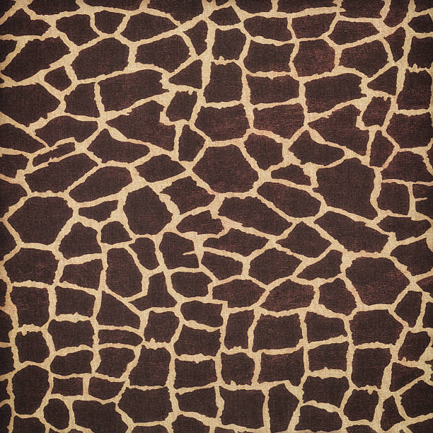 istock Wild animal skin 453653509