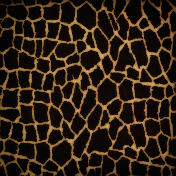 istock Wild animal skin 453653541