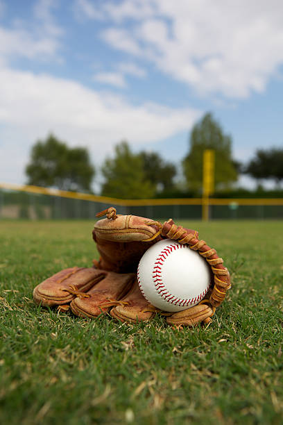 istock Baseball and Glove in the Outfield 453653911