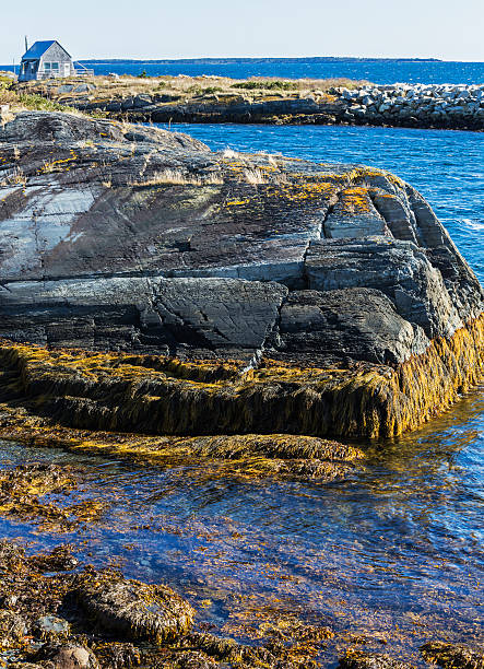 istock Seaweed And Summer Cottage on Rocky Nova Scotia Coastline 453655281