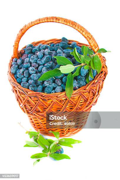 Foto de Madressilva Frutas Vermelhas e mais fotos de stock de Azul - Azul, Baga - Fruta, Cesto