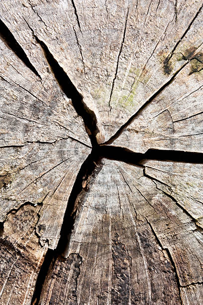 ブラウンの木製パターン、創造的な抽象的なデザインの背景の写真 - plank oak wood old fashioned ストックフォトと画像