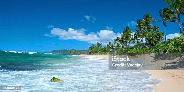 Photo libre de droit de Plage De Sable Vierge Avec Palmiers Et Locéan Bleu Azur Panorama Des Arbres banque d'images et plus d'images libres de droit de Maui