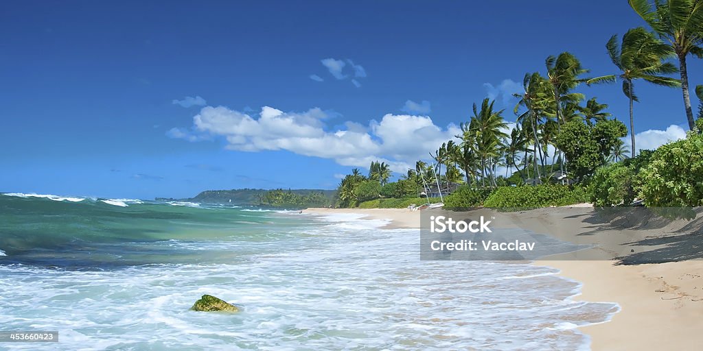 Tocados sandy beach com as palmas das mãos e oceano azure panorama de árvores - Royalty-free Maui Foto de stock