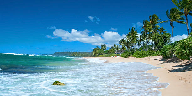 Tocados sandy beach com as palmas das mãos e oceano azure panorama de árvores - fotografia de stock