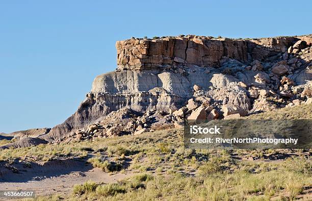 Park Narodowy Petrified Forest - zdjęcia stockowe i więcej obrazów Bez ludzi - Bez ludzi, Dzień, Fotografika