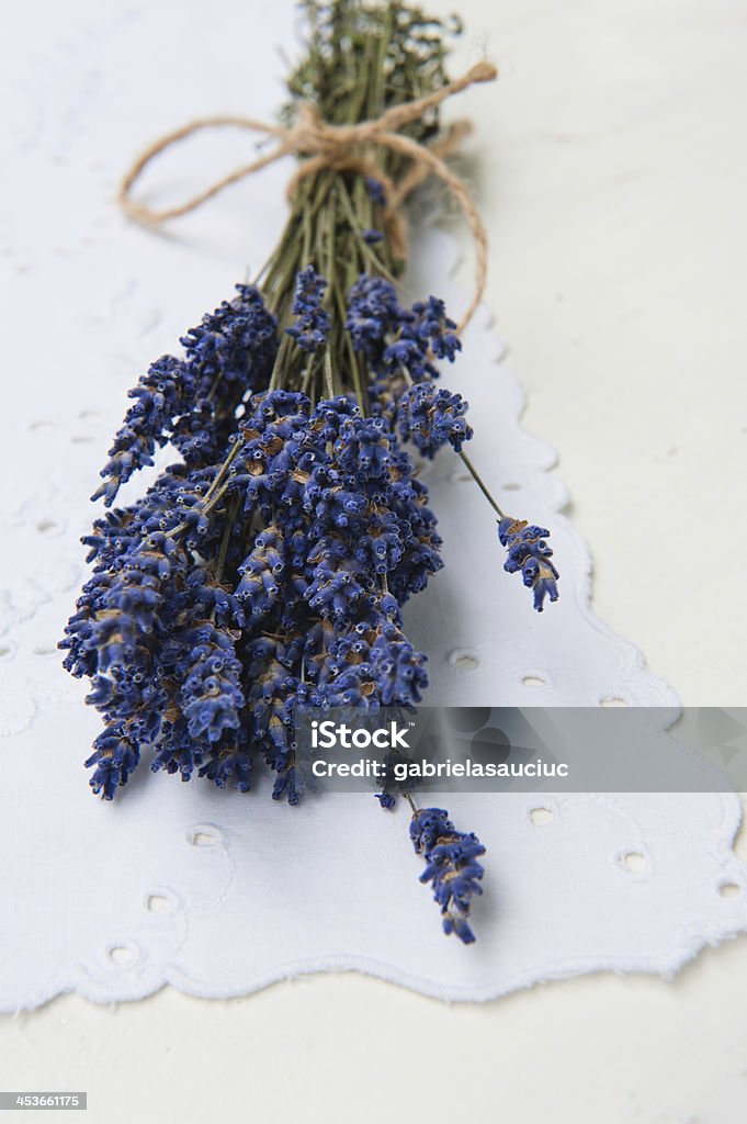 Lavendel - Lizenzfrei Agrarbetrieb Stock-Foto