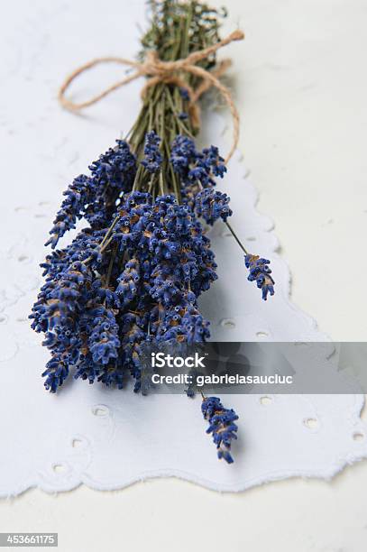 Lavendel Stockfoto und mehr Bilder von Agrarbetrieb - Agrarbetrieb, Blau, Blume