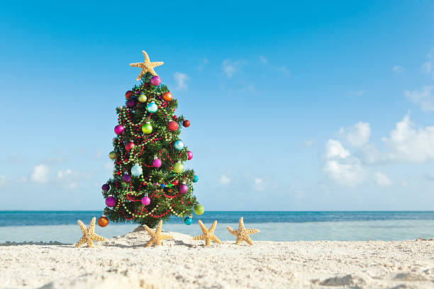 istock Christmas Tree with Decoration and Starfish in Tropical Beach Paradise 453661341
