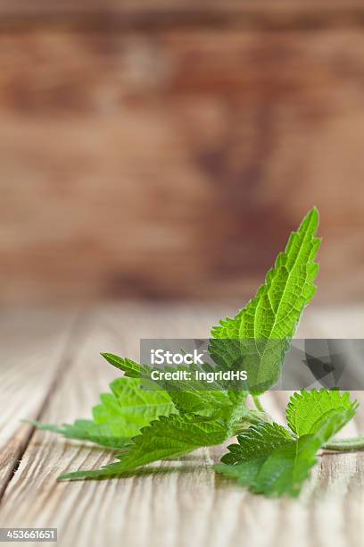 Nessel Stockfoto und mehr Bilder von Bildhintergrund - Bildhintergrund, Blatt - Pflanzenbestandteile, Brennessel