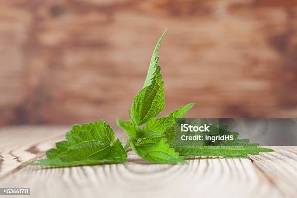 Foto de Nettle e mais fotos de stock de Alimentação Saudável - Alimentação Saudável, Comida, Erva