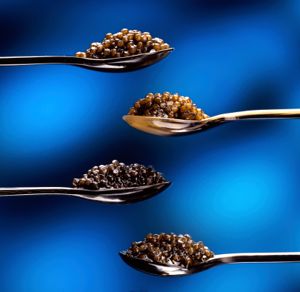 four silver spoons filled with Beluga, Imperial, Royal Black and Sevruga caviar on blue background