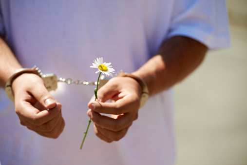 Man in handcuffs holding a daisy