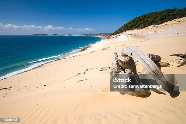 Carlo Sabbia Blow - Fotografie stock e altre immagini di Rainbow Beach - Rainbow Beach, Australia, Isola di Fraser