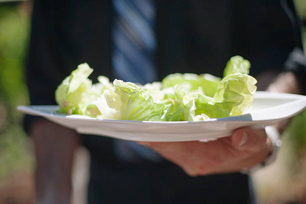 Butter leaf lettuce on a plate stock photo