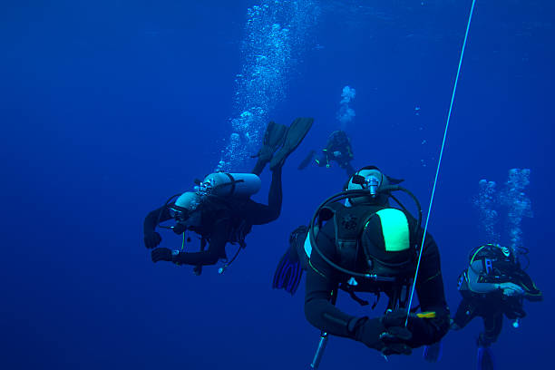 istock Group of divers on 5-min safety stop, Cuba 453683665