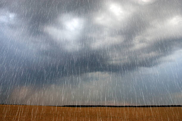 Rain at the fields Heavy raining. rain stock pictures, royalty-free photos & images