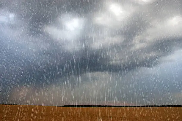 Sky Raining Radiographs Sky Rain Pictures | Download Free Images on Unsplash