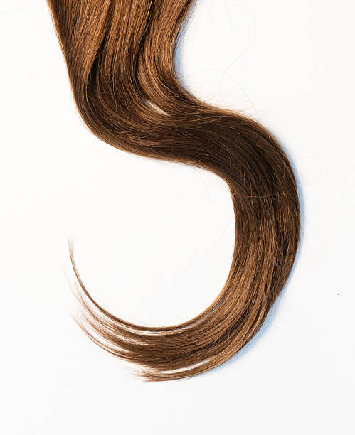 cabello largo - beauty beautiful brown hair black hair fotografías e imágenes de stock