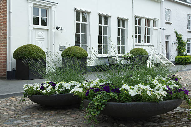 istock Large planters in a historic street 453693327