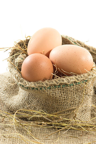 jaja w brązowych worek z format pionowy - agriculture brown burlap cholesterol zdjęcia i obrazy z banku zdjęć