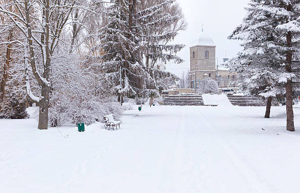 istock Snow-covered landscape in the city park. 453723835