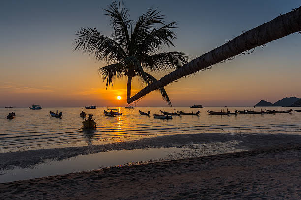 istock Palm tree over lagoon with boats at sunset. Thailand 453724899