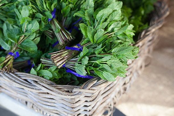 Basket full of mint leaves stock photo