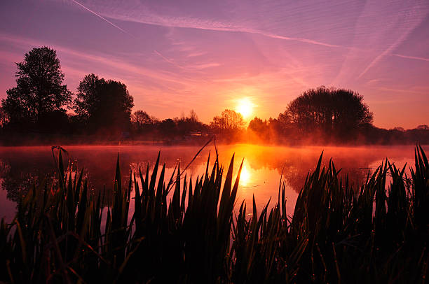 istock Beautiful sunrise / sunset in Holland 453730169