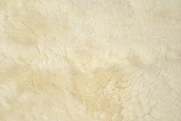 furry fundo de - lamb softness fur wool - fotografias e filmes do acervo