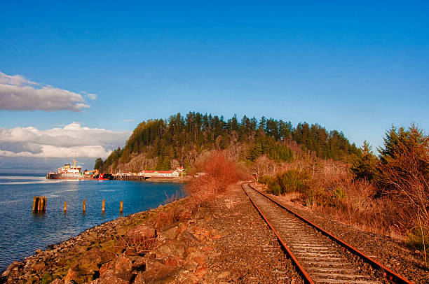 Railroad tracks stock photo