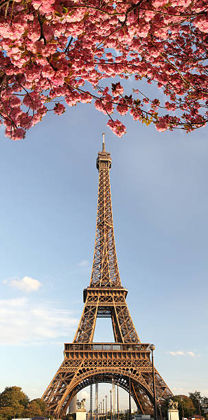 istock Eiffel Tower during spring time in  Paris, France 453732985