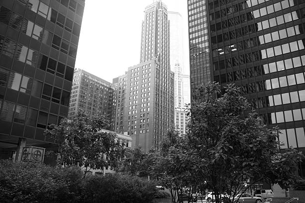 istock Chicago City Buildings Black and White 453739765