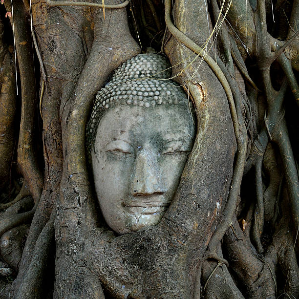 istock Buddha head embeded in tree roots  ancient city of Ayutthaya 453739777