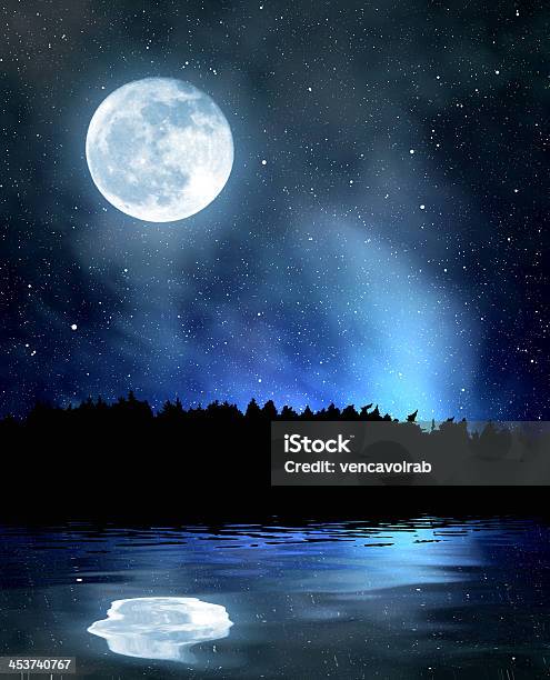 Night Sky Stock Photo - Download Image Now - Lake, Moon, Astronomy