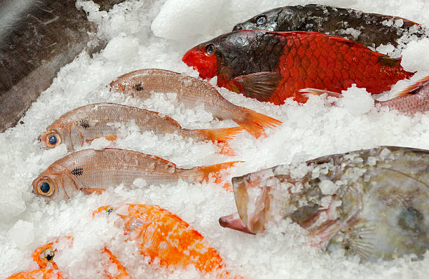 istock Fresh fishes seafood background on ice 453747133