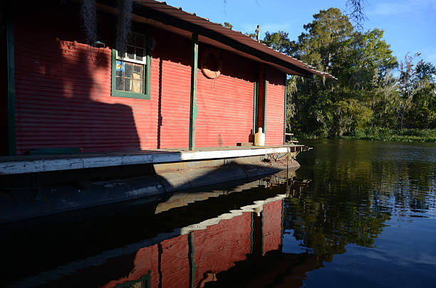 Swamp tour, New Orleans