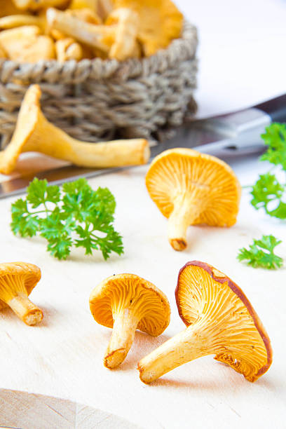 свежий сырой золотой chanterelles, осенний урожай на стол - scented autumn cap chanterelle стоковые фото и изображения