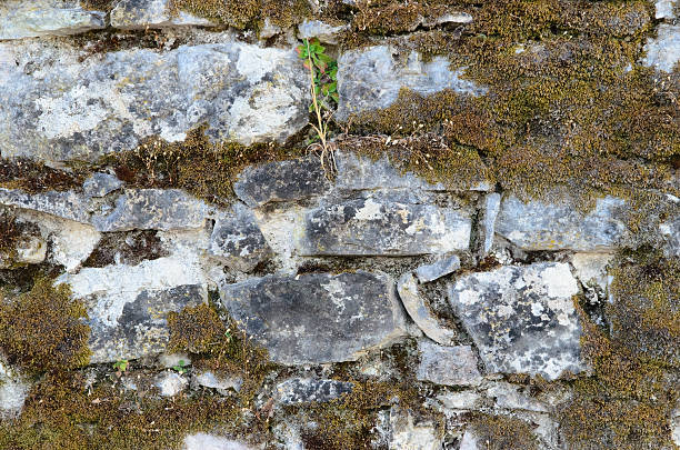 Old stone wall background stock photo