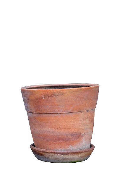 istock Plant pot isolated on white background, clipping path included. 453774833