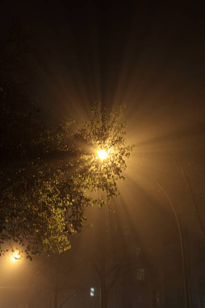 istock streetlight with fog at night 453784025
