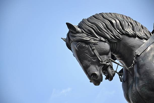 caballo - vitkov fotografías e imágenes de stock