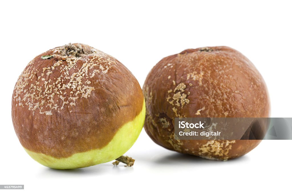 Two rotten apples Two rotten apples isolated on the white background Apple - Fruit Stock Photo