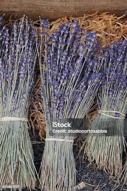 Lavanda Para Venda - Fotografias de stock e mais imagens de Alimento Básico - Alimento Básico, Aromaterapia, Azul